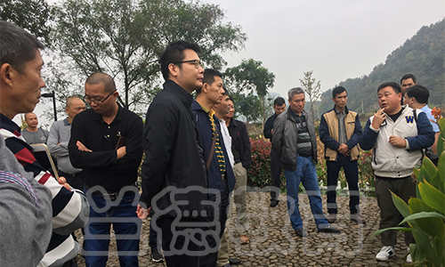 1540881770544330.jpg 环溪村2.jpg