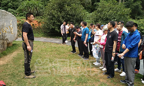 1562634213464525.jpg mmexport1559395389693.jpg