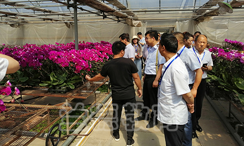 1563183392241812.jpg IMG_20190528_144129(1).jpg