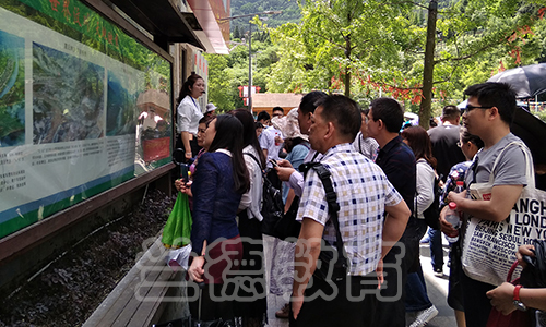 1563334484860820.jpg 5.12-5.jpg