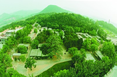 1597807123269088.jpg 3.jpg