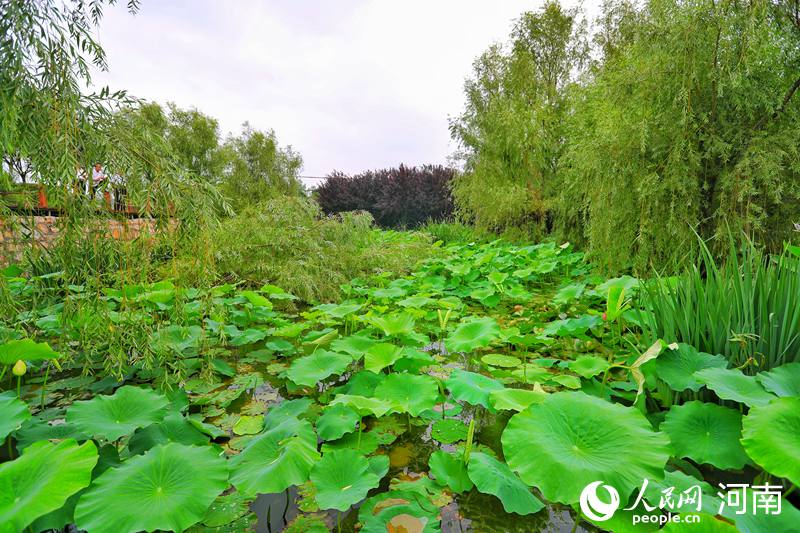 1598403337475869.jpg 1598403337475869.jpg