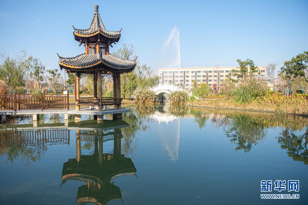 1621233112904587.jpg 1621233112904587.jpg