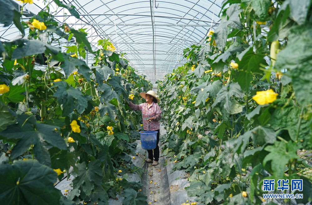 1622102112483142.jpg 1622102112483142.jpg