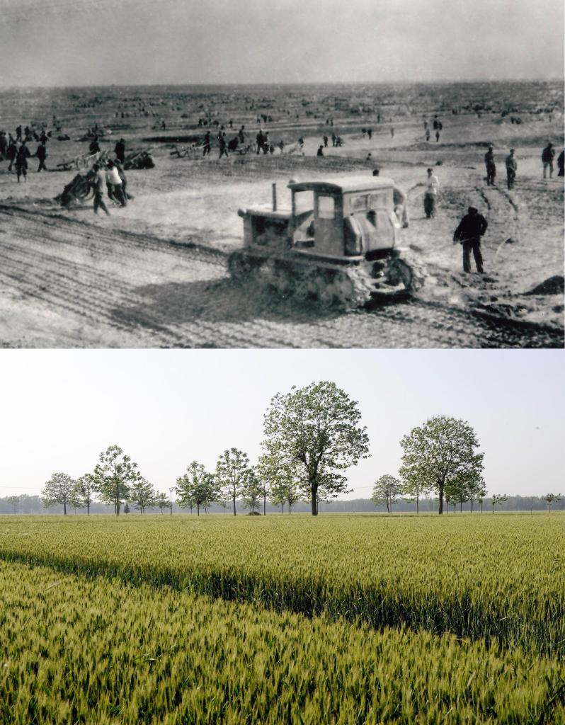 1622102599257307.jpg 1622102599257307.jpg