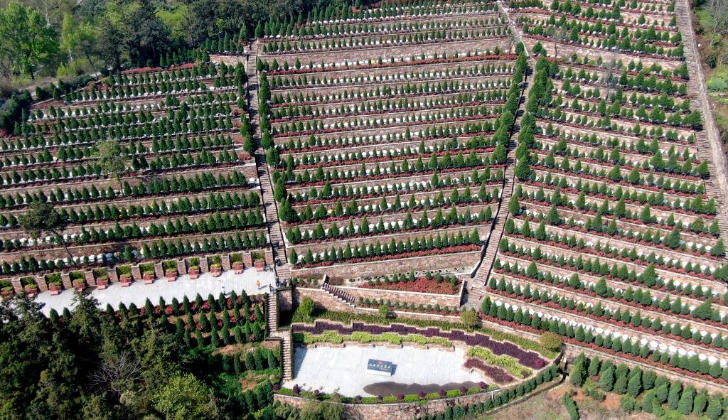 1622102821926897.jpg 1622102821926897.jpg