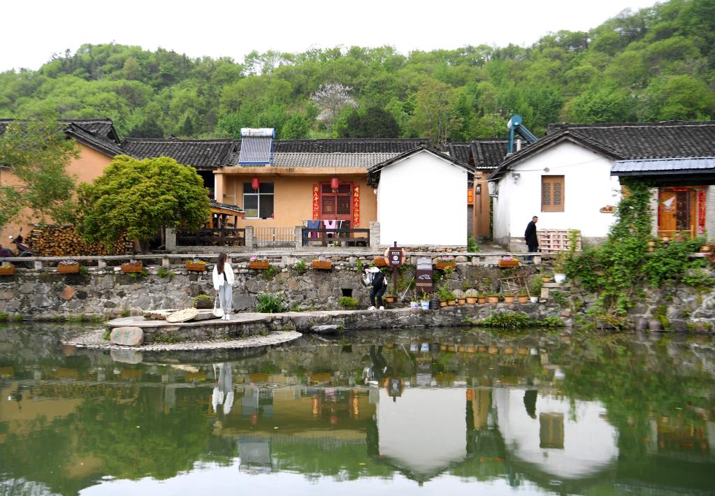 1622103041975727.jpg 1622103041975727.jpg