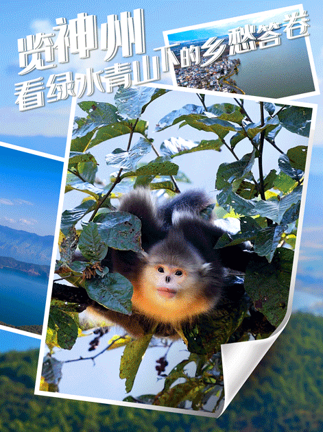 1622444499621361.gif 1.gif