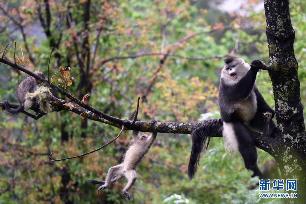 1622444787384325.jpg 1622444787384325.jpg