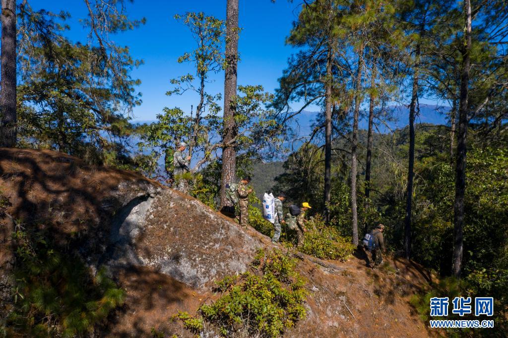 1622444846501335.jpg 1622444846501335.jpg