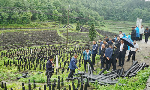 “学习贯彻党的二十大精神暨乡村振兴主题”轮训班（2023090612） (2).jpg