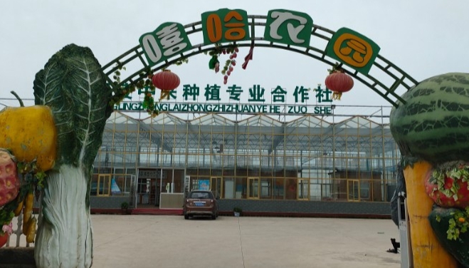 嘻哈农园.jpg