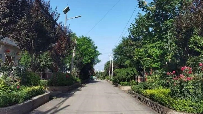 张卜街道东关村.jpg