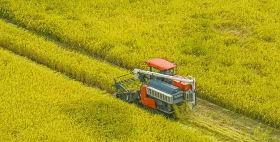 1761951982838686.jpg 大坪村.jpg