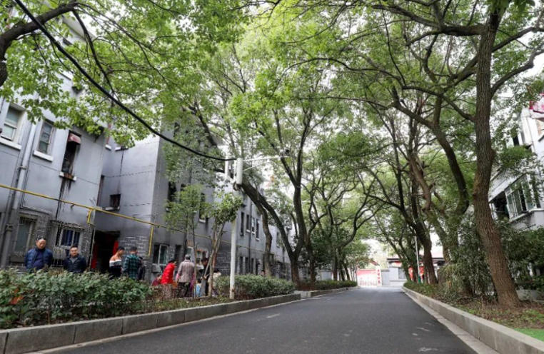 1765244316198425.jpg 青山路街道彩虹社区.jpg