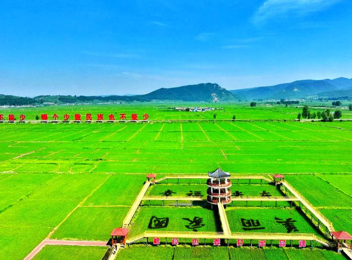 光东村.jpg