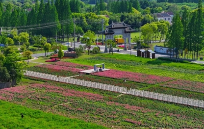 1745023376627985.jpg 宜兴市西渚镇白塔村.jpg