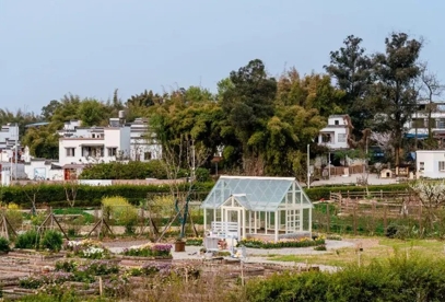 1745023424781686.jpg 锡山区羊尖镇严家桥村.jpg