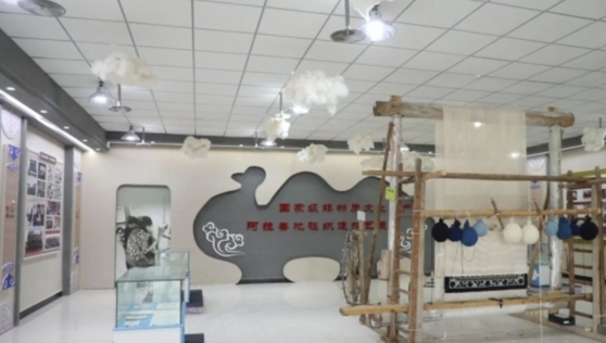 阿右旗民族工艺地毯有限责任公司.jpg