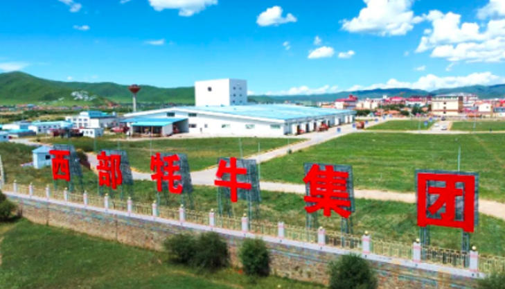 西部牦牛产业集团.jpg