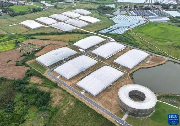 肥东县雾耕科技农业产业园.jpg
