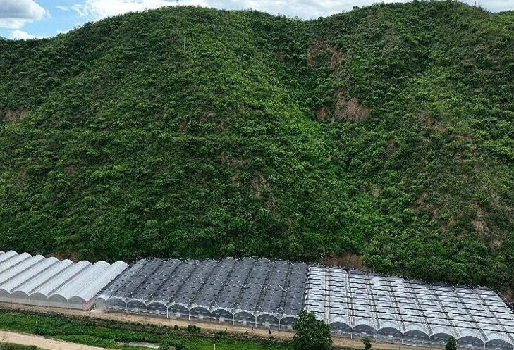 玉溪晟地农业科技有限公司.jpg