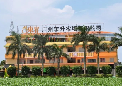 1789692830531713.png 东升农业集团.png