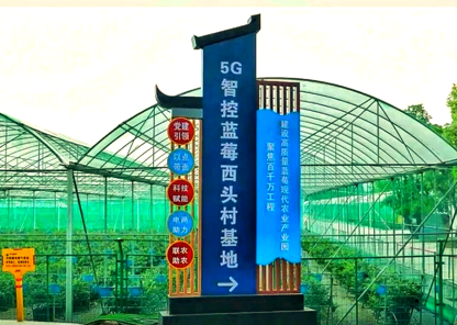 西头村.png